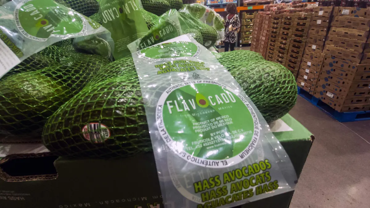 AGUACATE COSTCO_AJO (2)